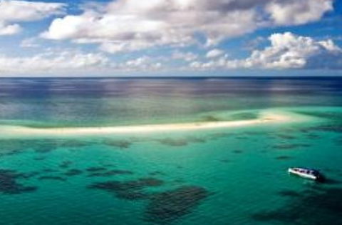 Ocean Safari - Tourism Gold Coast 2