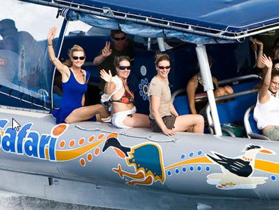 Ocean Safari - Tourism Gold Coast 3