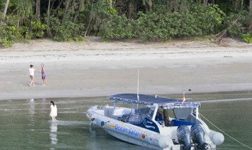 Ocean Safari - Tourism Gold Coast 4