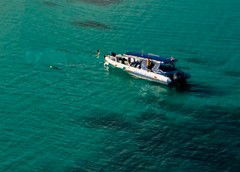 Ocean Safari - Tourism Gold Coast 5