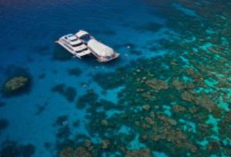 Great Adventures Reef And Green Island Cruises - Tourism Gold Coast 0