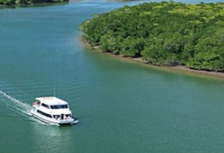 Cairns Harbour Cruises - Tourism Gold Coast 3