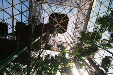 Cairns ZOOm And Wildlife Dome - Tourism Gold Coast 1