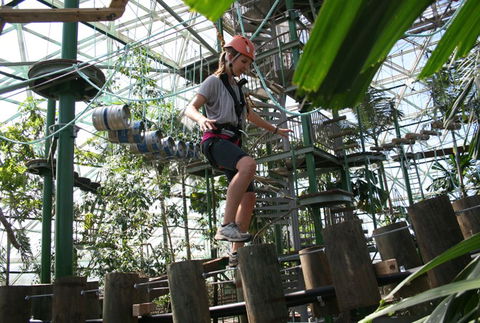 Cairns ZOOm And Wildlife Dome - Tourism Gold Coast 2