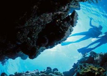 Deep Sea Divers Den - Tourism Gold Coast 0