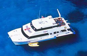 Deep Sea Divers Den - Tourism Gold Coast 3