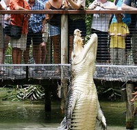 Hartley's Crocodile Adventures - Gold Coast