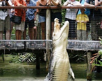 Hartley's Crocodile Adventures - Tourism Gold Coast 0