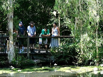 Hartley's Crocodile Adventures - Tourism Gold Coast 2