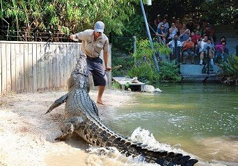 Hartley's Crocodile Adventures - Tourism Gold Coast 4