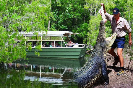 Hartley's Crocodile Adventures - Tourism Gold Coast 6