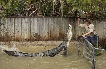 Hartley's Crocodile Adventures - Tourism Gold Coast 8