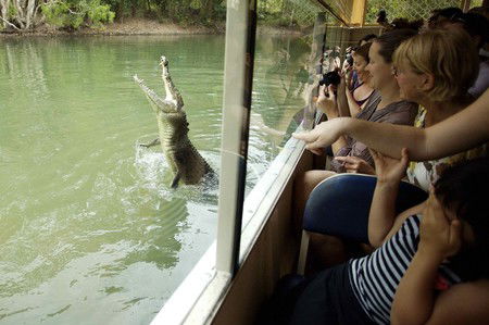 Hartley's Crocodile Adventures - Tourism Gold Coast 9
