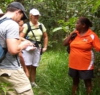 Ingan Tours - Spirit of the Rainforest Tour - Tourism Gold Coast