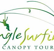 Jungle Surfing Canopy Tours and Jungle Adventures Nightwalks - Tourism Gold Coast