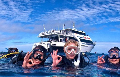 Pro Dive Cairns - Tourism Gold Coast 0