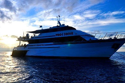Pro Dive Cairns - Tourism Gold Coast 1