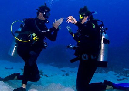 Pro Dive Cairns - Tourism Gold Coast 2