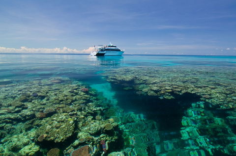 Pro Dive Cairns - Tourism Gold Coast 4