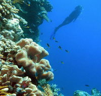 Reef Magic Cruises - Tourism Gold Coast