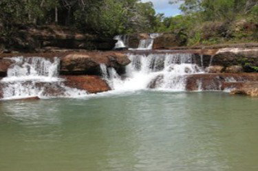 Tagalong Tours Of Australia - Tourism Gold Coast 1