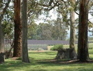 Stanthorpe QLD Tourism Gold Coast