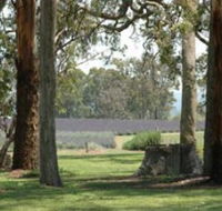 Aloomba Lavender - Tourism Gold Coast