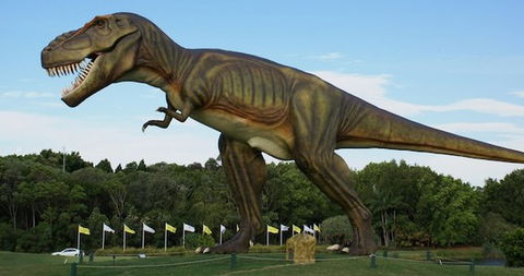 Palmersaurus Park - Gold Coast 1