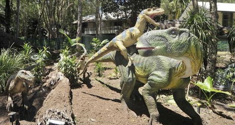 Palmersaurus Park - Gold Coast 5
