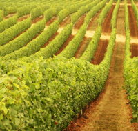 Wignalls Winery - Gold Coast