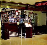 Cervo - Tourism Gold Coast