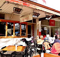 Kamel - Tourism Gold Coast