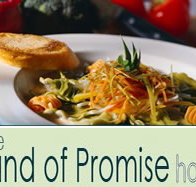 Land of Promise Hotel - Tourism Gold Coast
