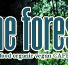 Forest Cafe  Bar - Tourism Gold Coast