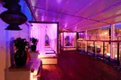 Circus Bar  Night Club - Tourism Gold Coast