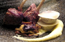 Double Bay NSW Tourism Gold Coast