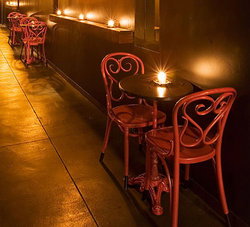 Mink - Tourism Gold Coast 1