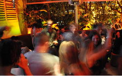 Ivanhoe Hotel - Tourism Gold Coast 0
