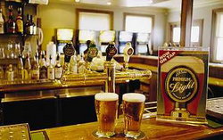 Regatta Bar - Log Cabin - Tourism Gold Coast 1