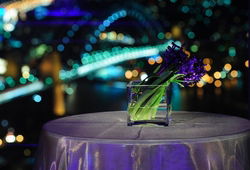 Summit - Orbit Lounge Bar - Tourism Gold Coast 3