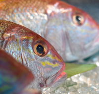 Coro Hotel - Lure Seafood Restaurant - Tourism Gold Coast