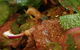 The Chilli & Spice Restaurant - thumb 3