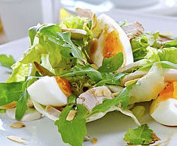 Image Flat QLD Tourism Gold Coast