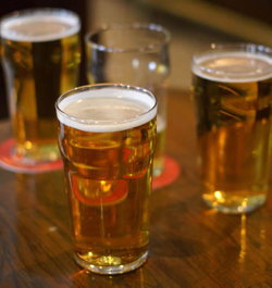 South Mount Cameron TAS Tourism Gold Coast