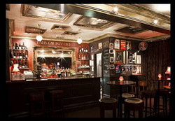 Paris Cat - Tourism Gold Coast 0