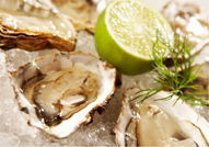 The Station Hotel - Tourism Gold Coast 2