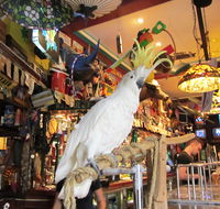 A Friend In Hand - Tourism Gold Coast