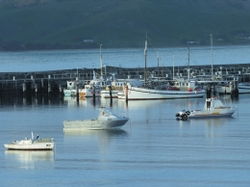 Apollo Bay VIC Tourism Gold Coast