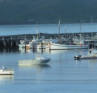 The Apollo Bay Hotel - Tourism Gold Coast