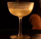 Grasshopper - Tourism Gold Coast